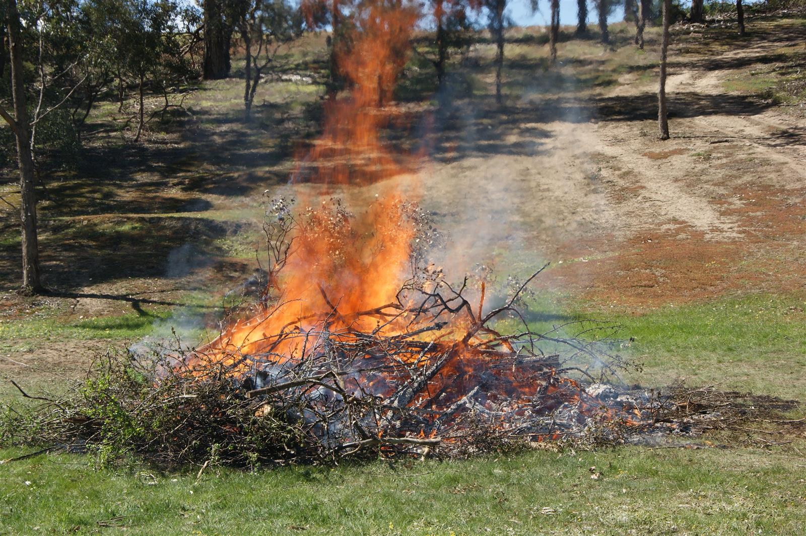 CFA is calling for a reduction in escaped burn-offs